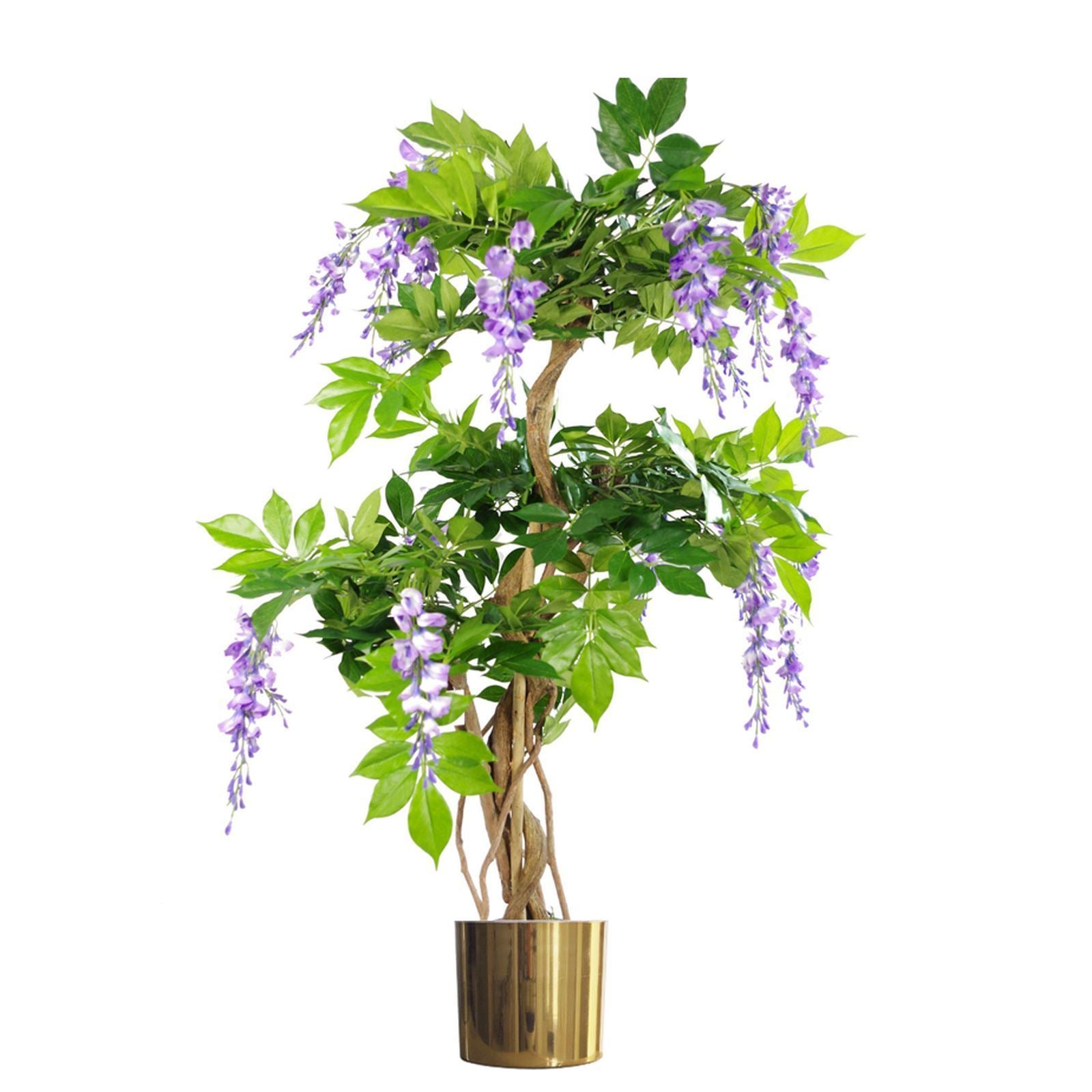 https://avasamnew.s3.amazonaws.com/live/GB010188/S0671438519_0.jpg