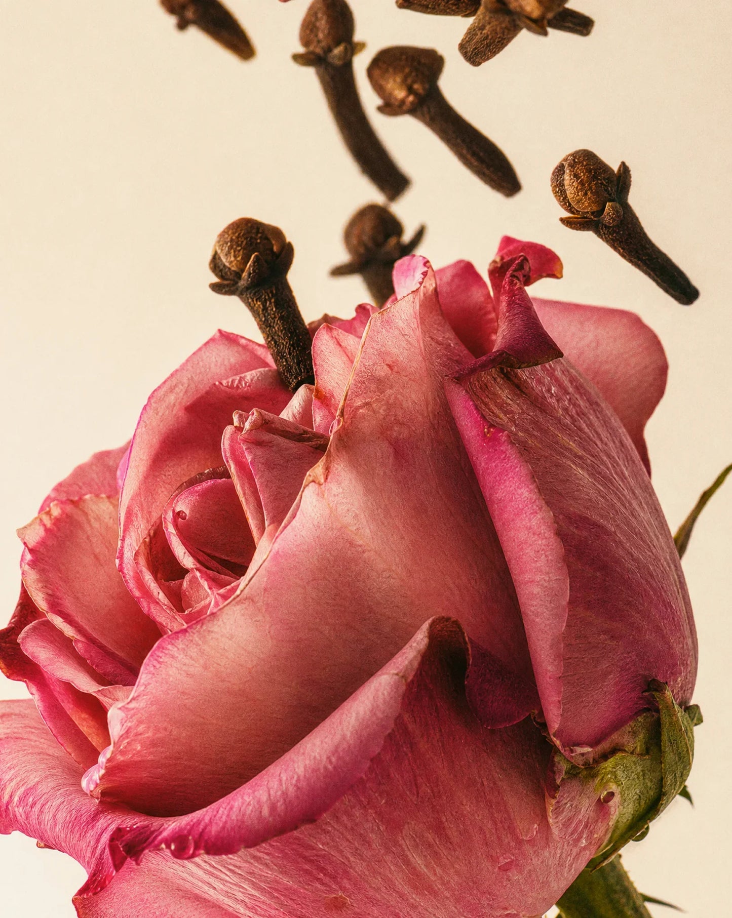 Medina Rose 100ml Reed Diffuser