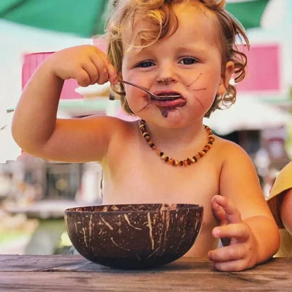 Natural Reusable Coconut Bowls And Wooden Spoon
