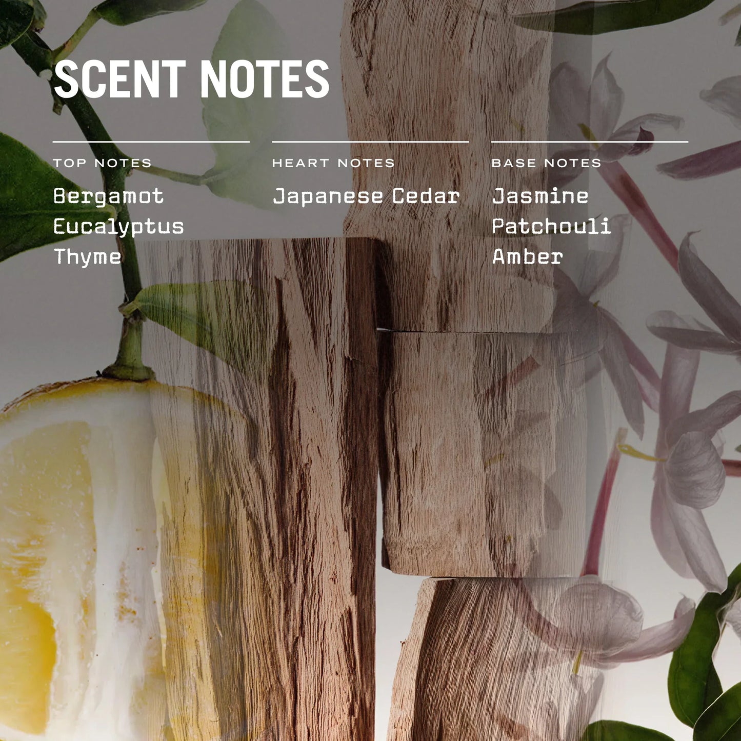 Sugi 250g Scented Soy Candle Refill