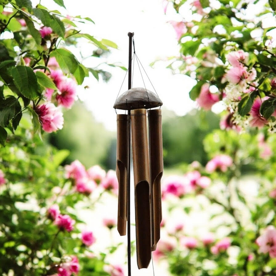 https://avasamnew.s3.amazonaws.com/live/admin/a7a0070a-99bc-476b-a233-32c4aa880e1c.jpg