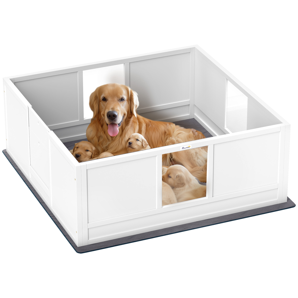 https://avasamnew.s3.amazonaws.com/product/GB010126/V0671597294/main.png