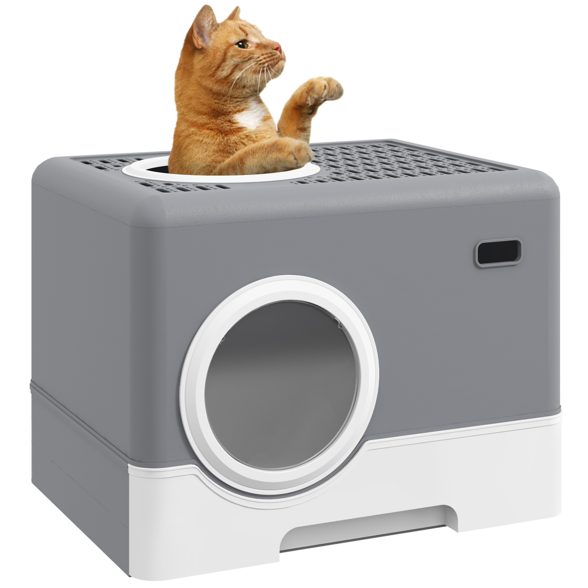 https://avasamnew.s3.amazonaws.com/product/GB010126/S0671398835/main.png
