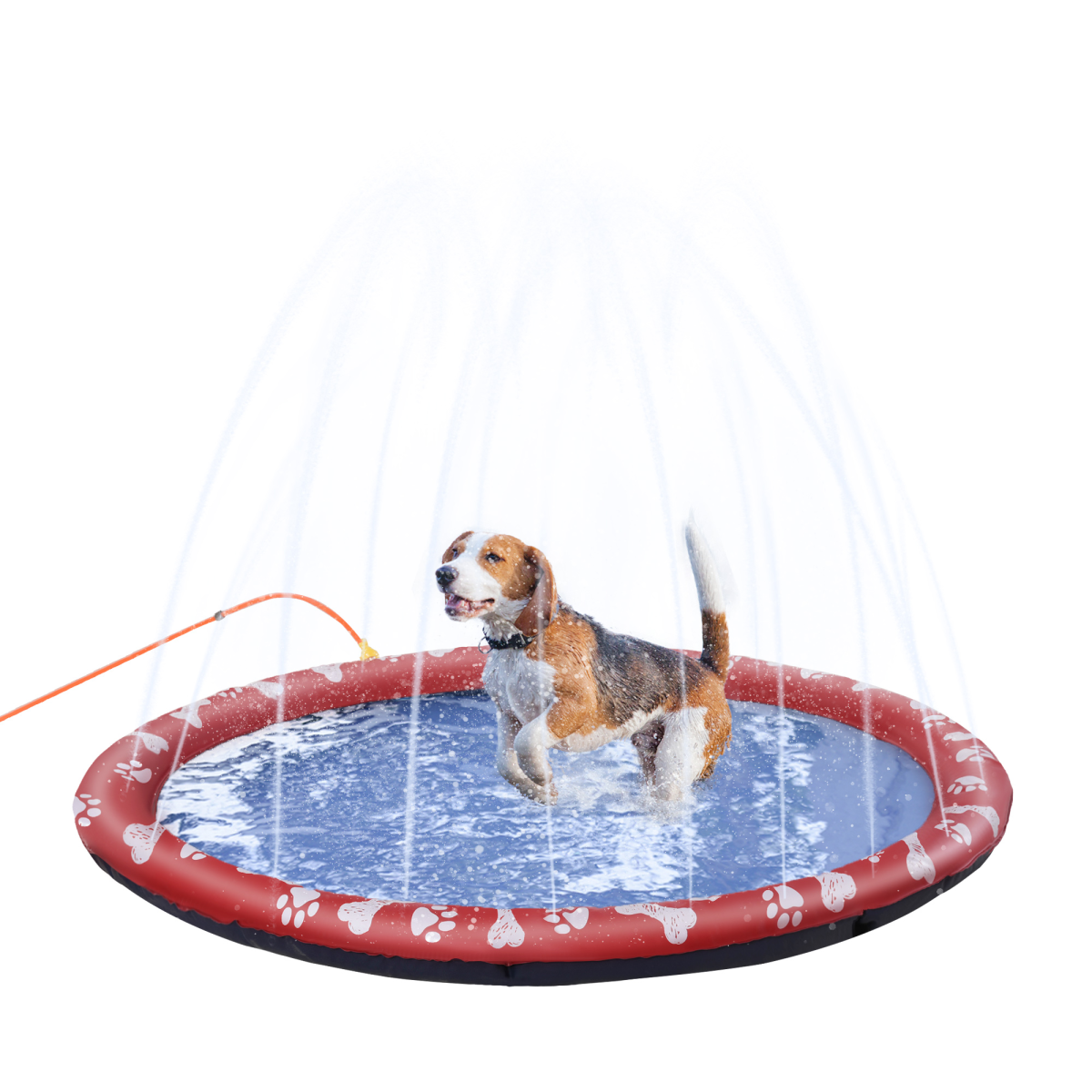 https://avasamnew.s3.amazonaws.com/product/GB010126/S0671081080/main.png