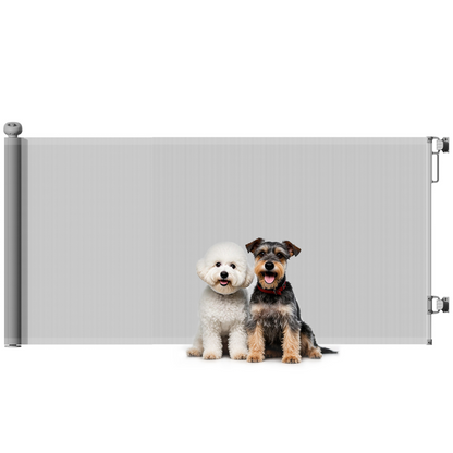 https://avasamnew.s3.amazonaws.com/product/GB010126/V0671653470/main.png