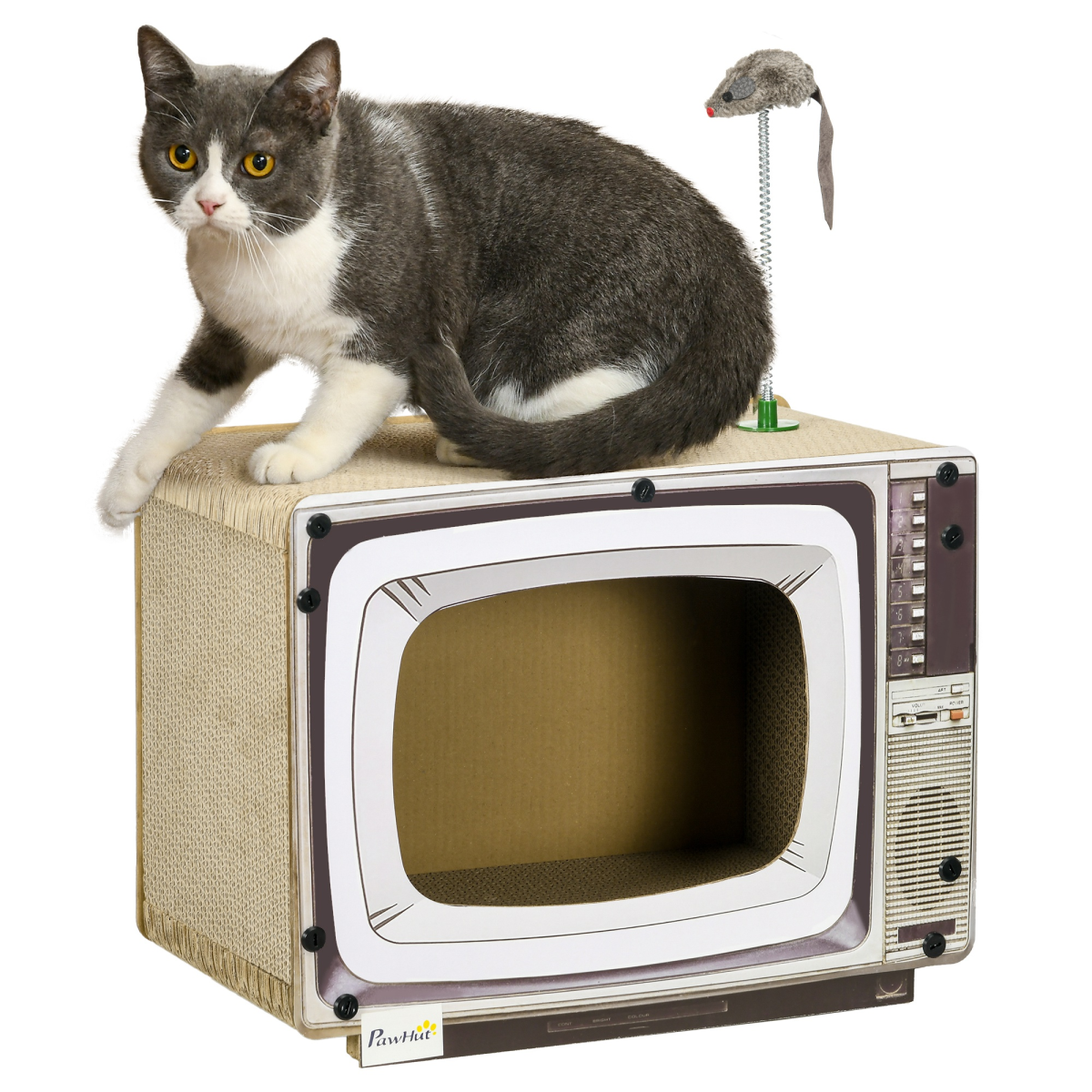 https://avasamnew.s3.amazonaws.com/product/GB010126/S0671379760/main.png