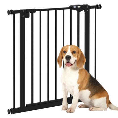 https://avasamnew.s3.amazonaws.com/product/GB010126/S0671391759/main.png