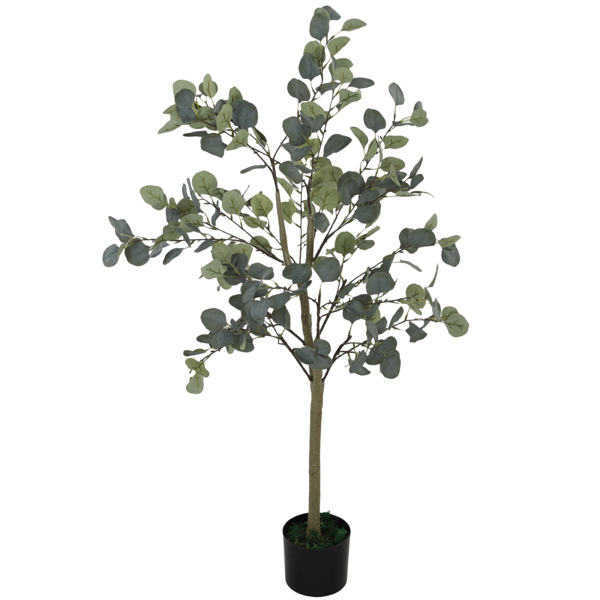 https://avasamnew.s3.amazonaws.com/product/GB010126/S0671634484/main.png