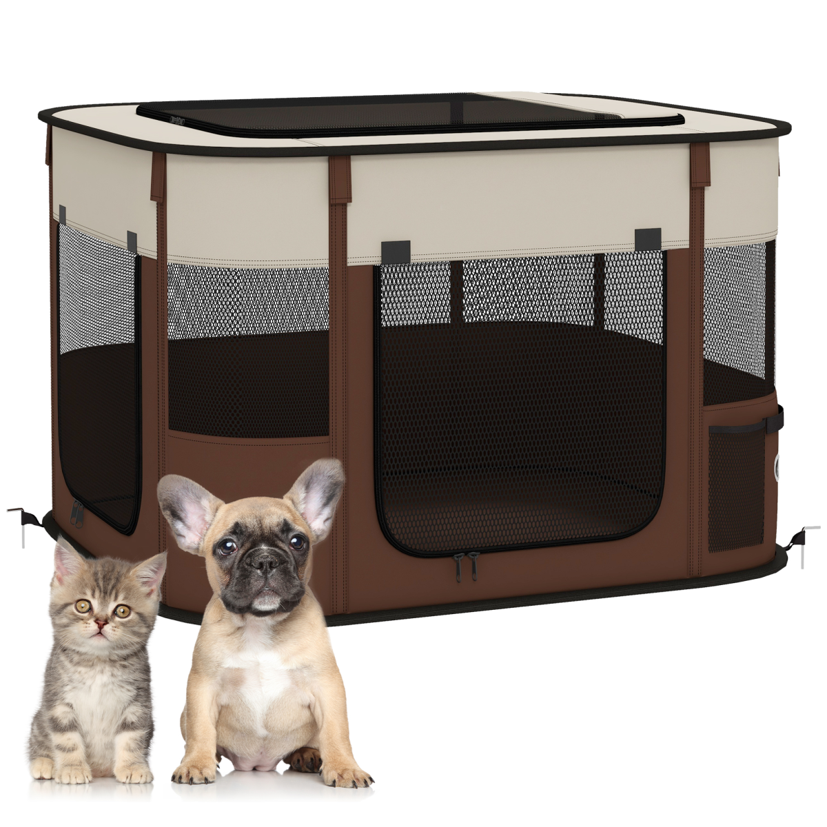 https://avasamnew.s3.amazonaws.com/product/GB010126/S0671452520/main.png