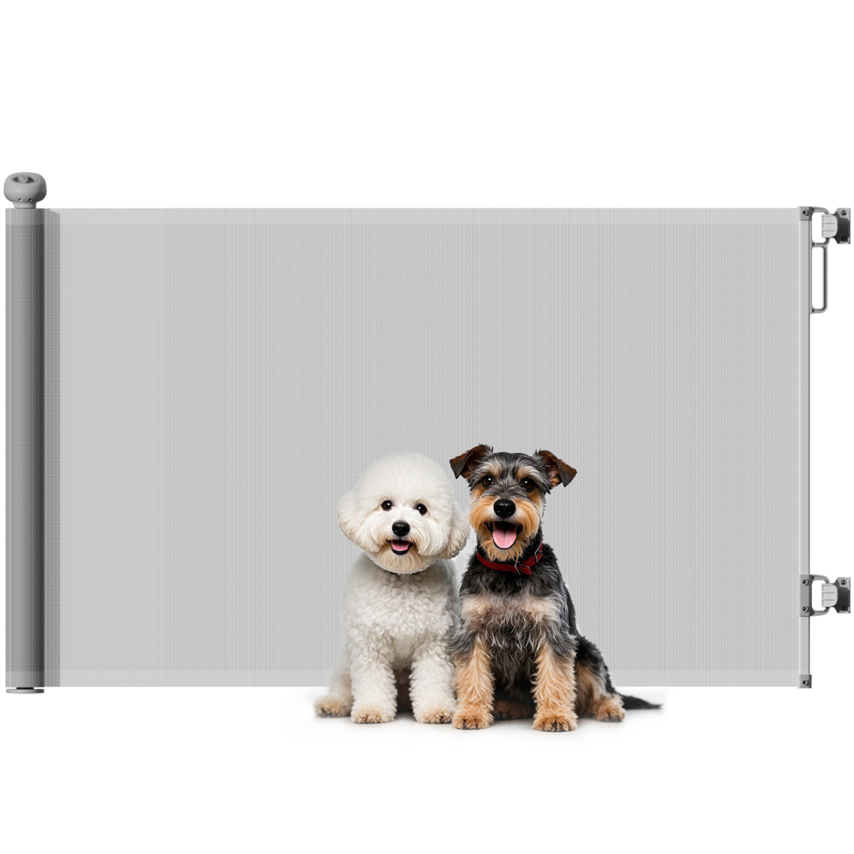 https://avasamnew.s3.amazonaws.com/product/GB010126/V0671653471/main.png