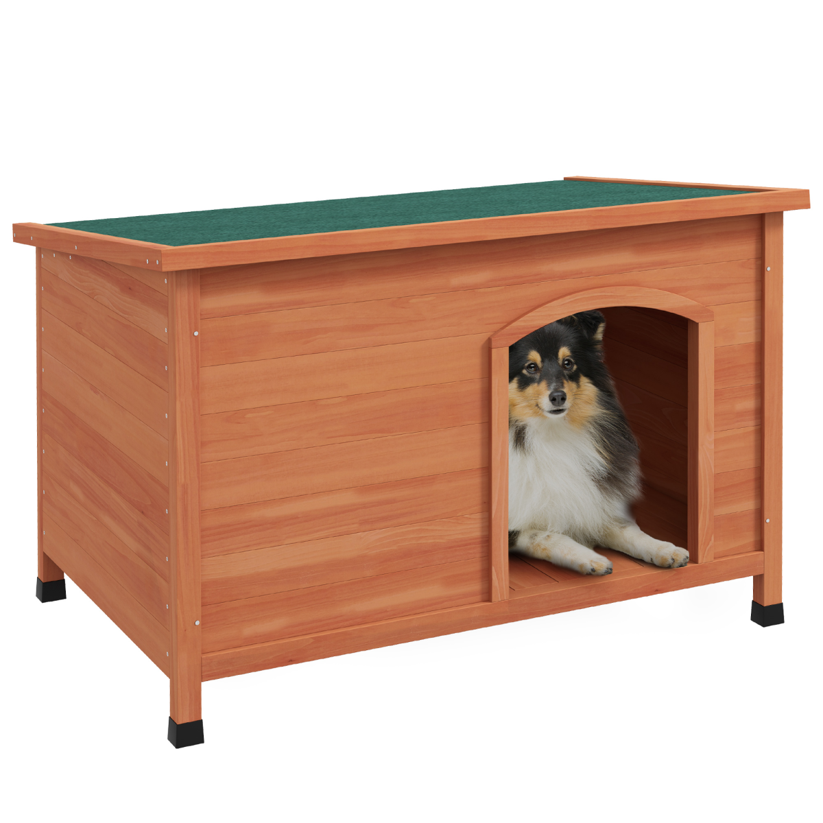 https://avasamnew.s3.amazonaws.com/product/GB010126/S0671441958/main.png
