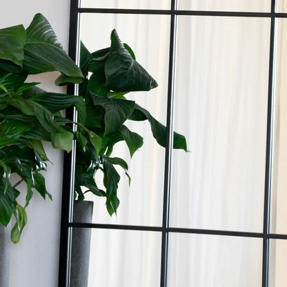 Tomi - Full Length Black Arched Window Mirror - 180cm x 105cm.